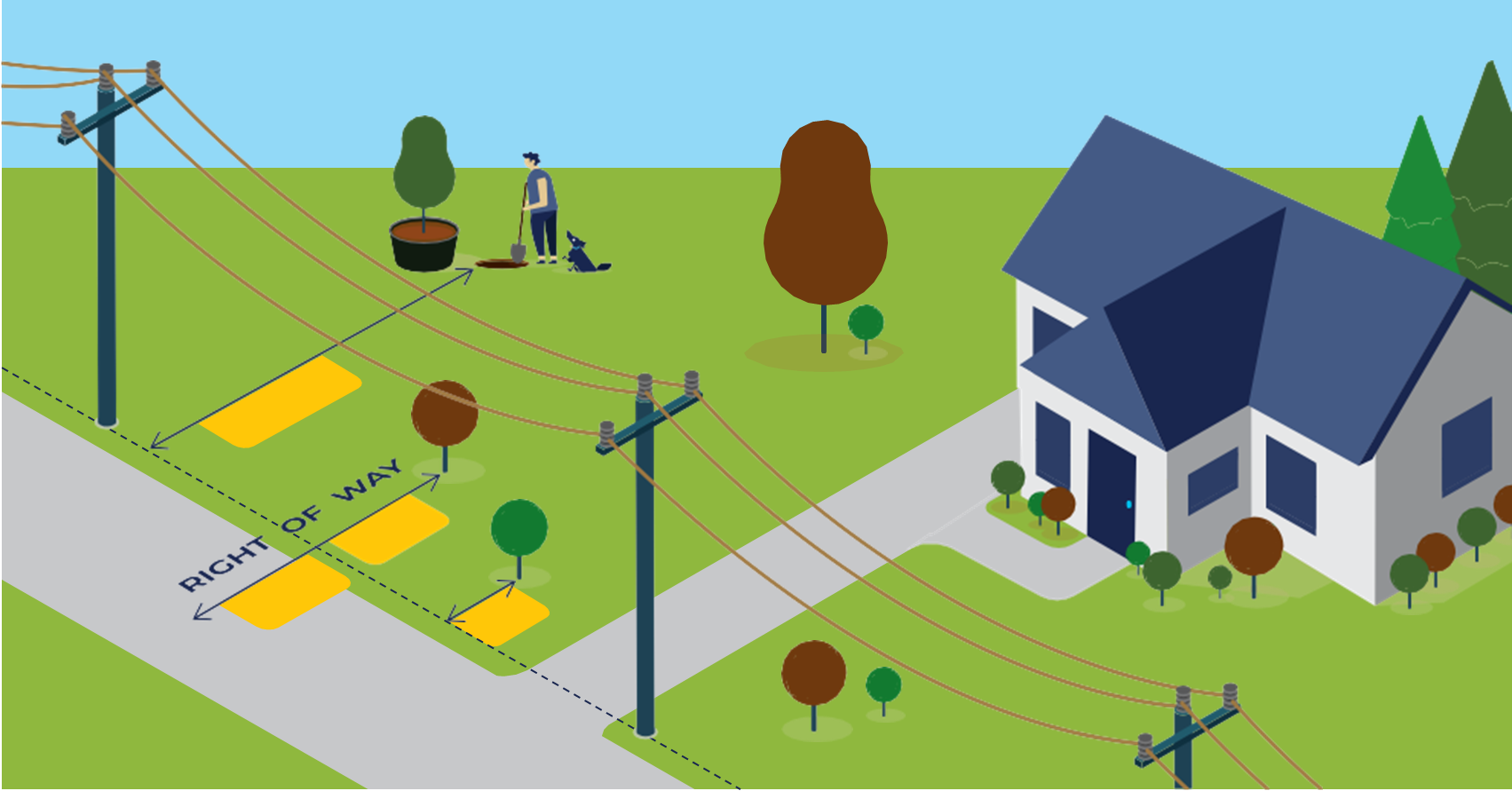 infographic explaining proper tree planting spacing around power lines.