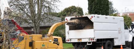 Wood Chips FAQ