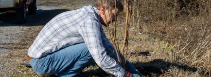 person planting new tree