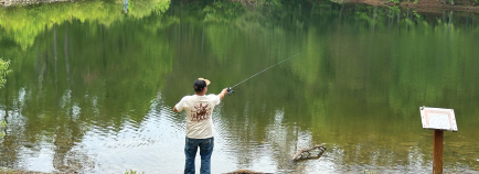 person fishing near the water